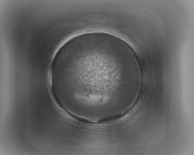 X0000111581510200907161414
