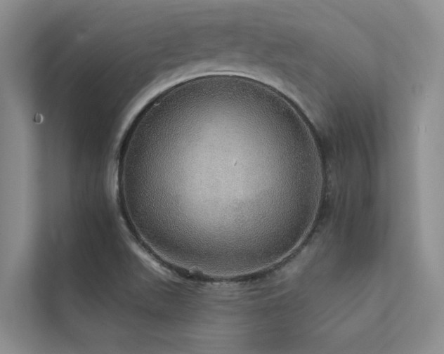 X0000111581511200907161414