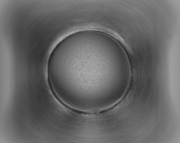 X0000111581512200907161414