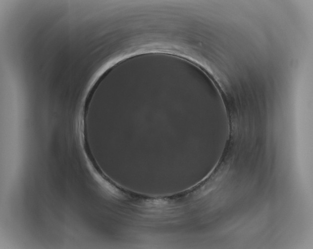 X0000111581515200907161414