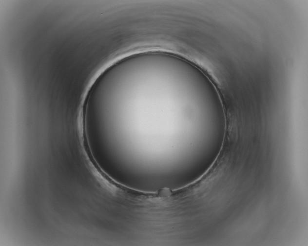 X0000111581516200907161414