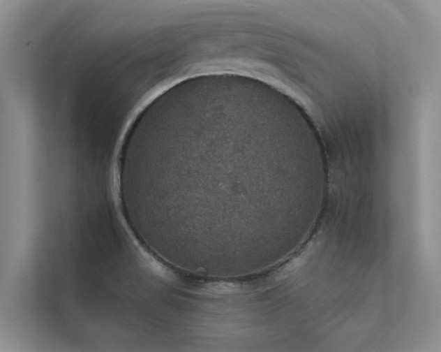 X0000111581517200907161414