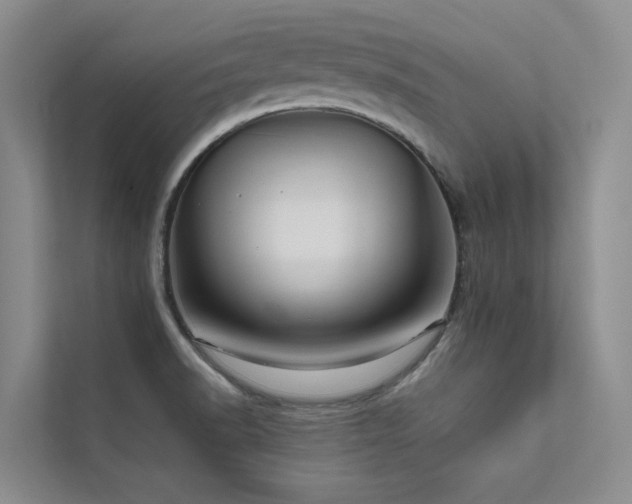X0000111581518200907161414