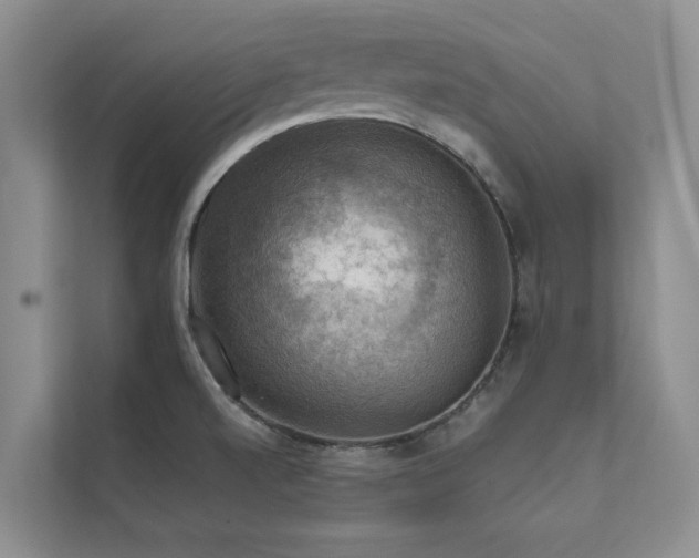X0000111581520200907161414