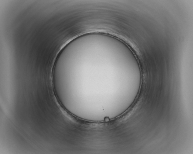 X0000111581521200907161414