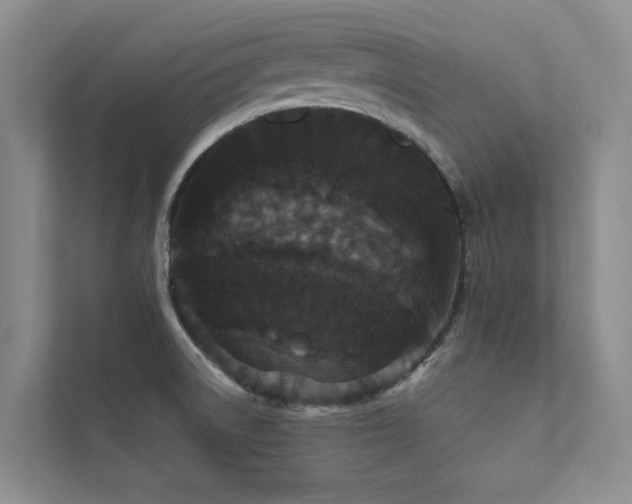 X0000111581522200907161414