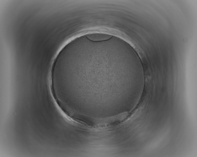 X0000111581523200907161414