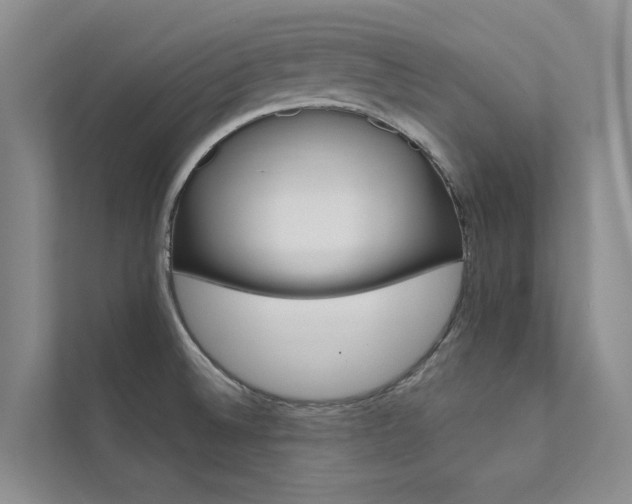 X0000111581524200907161414