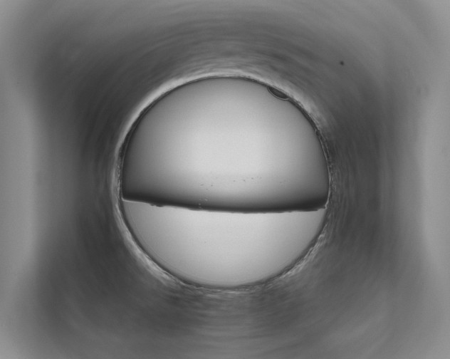 X0000111581526200907161414