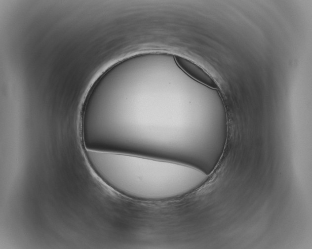 X0000111581527200907161414