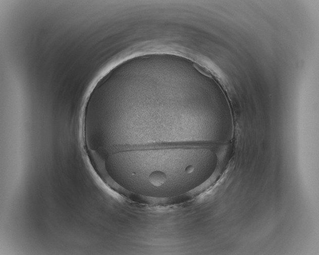 X0000111581528200907161415