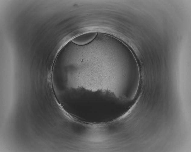 X0000111581529200907161415
