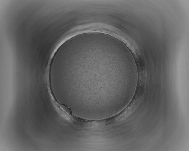 X0000111581530200907161415