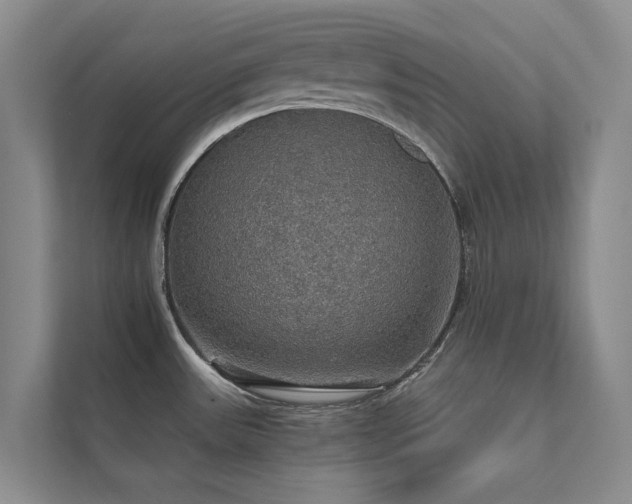 X0000111581531200907161415