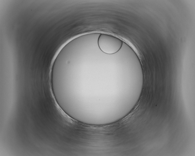 X0000111581532200907161415