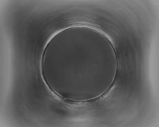 X0000111581533200907161415