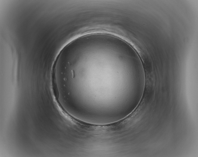 X0000111581534200907161415