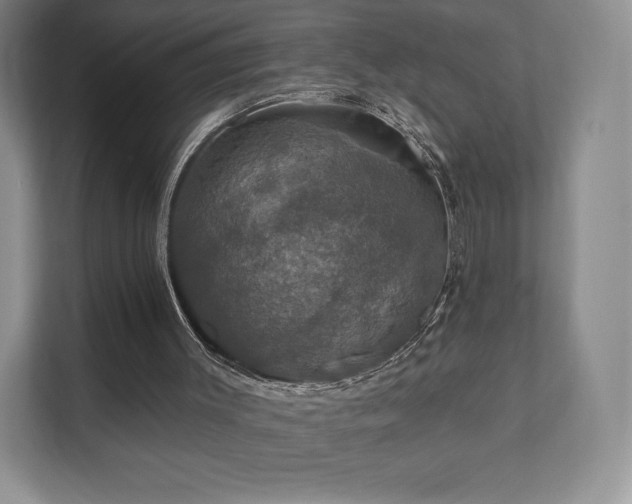 X0000111580003200907231245