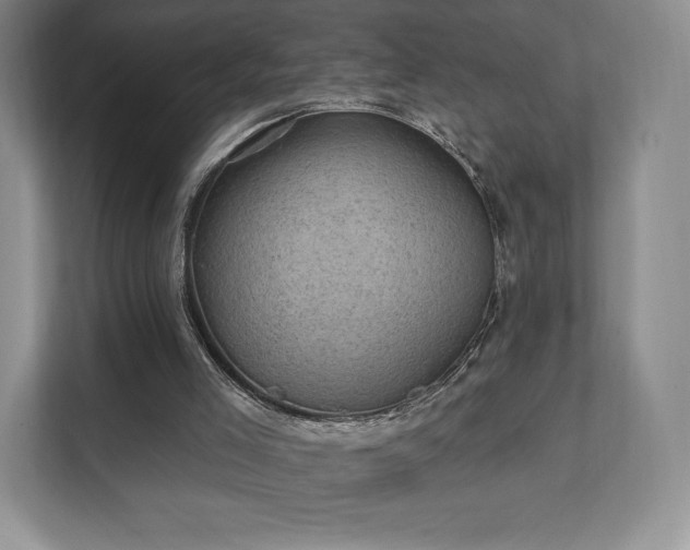 X0000111580005200907231244