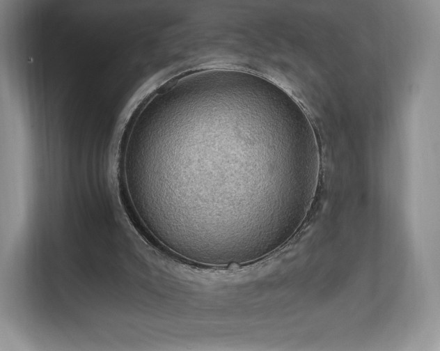 X0000111580007200907231244