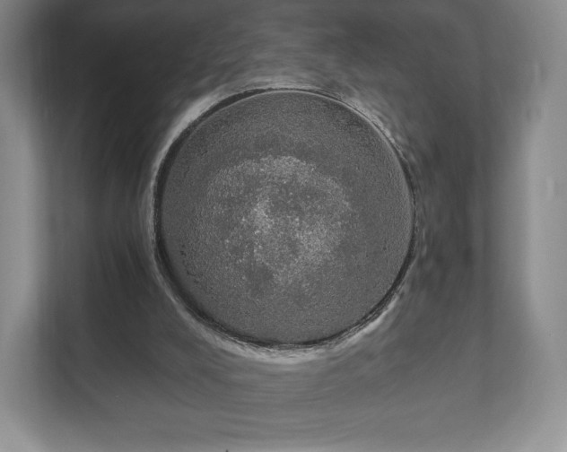 X0000111580008200907231244