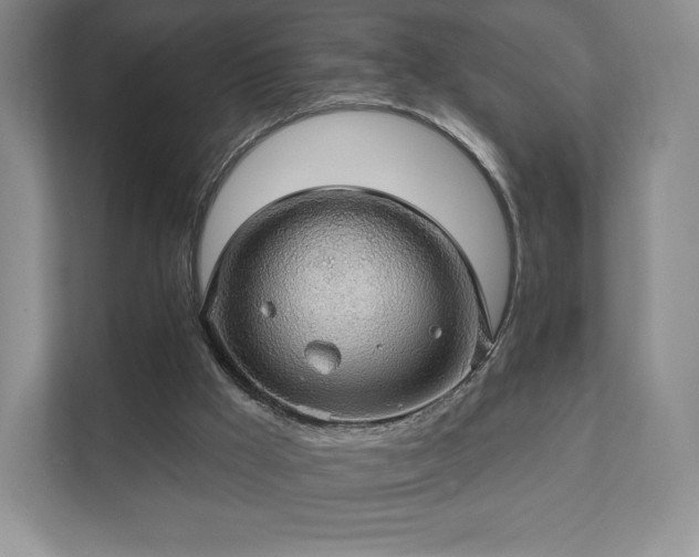 X0000111580009200907231244