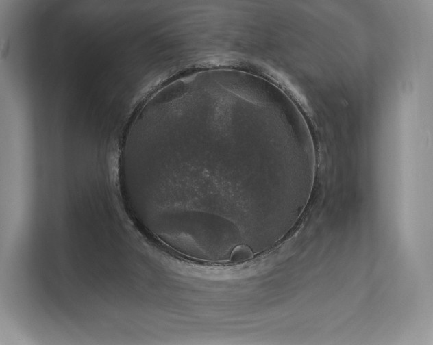 X0000111580010200907231244