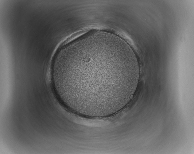 X0000111580012200907231244