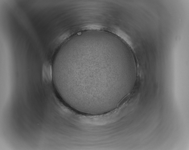 X0000111580013200907231244