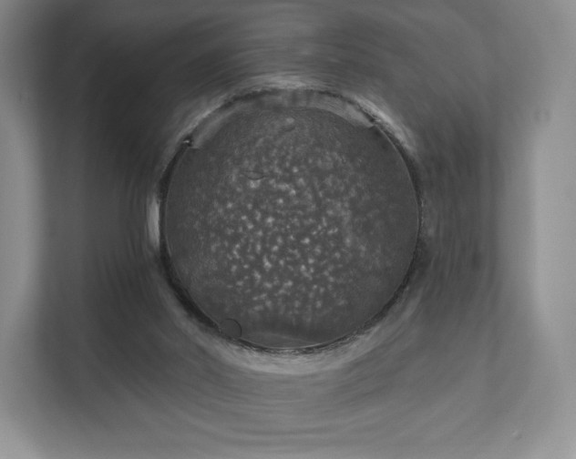 X0000111580014200907231244