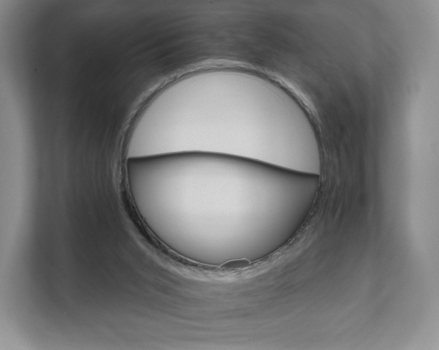X0000111580015200907231244