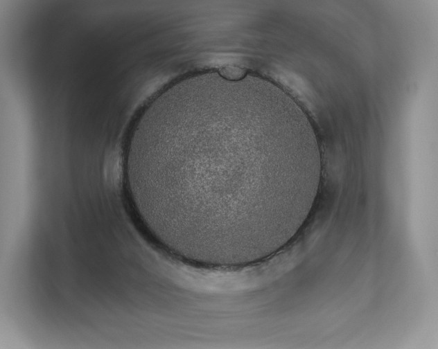 X0000111580016200907231244