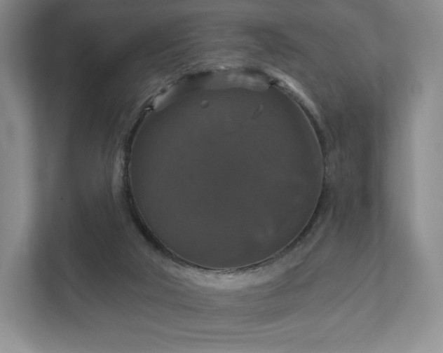 X0000111580018200907231244