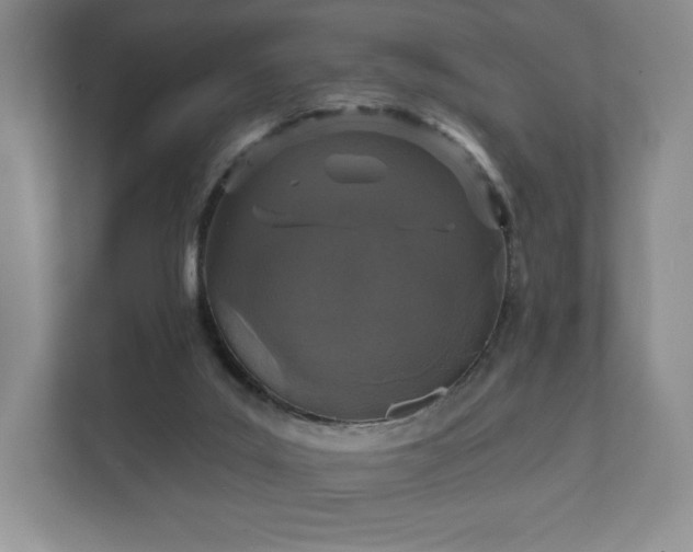 X0000111580019200907231244