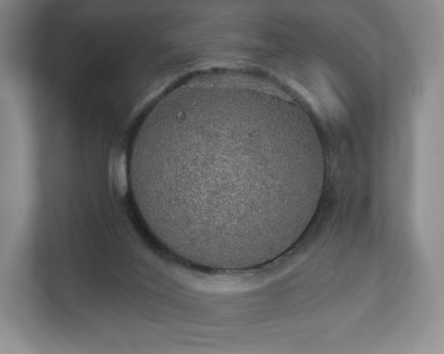 X0000111580020200907231244