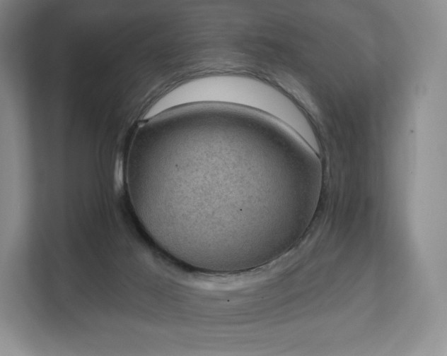 X0000111580021200907231244