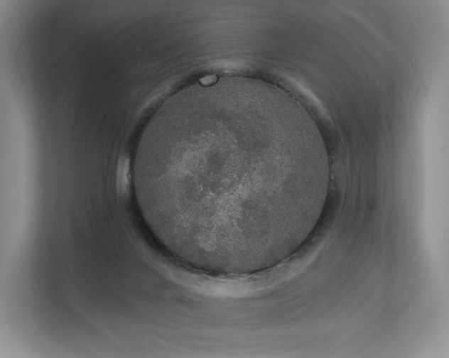 X0000111580024200907231244