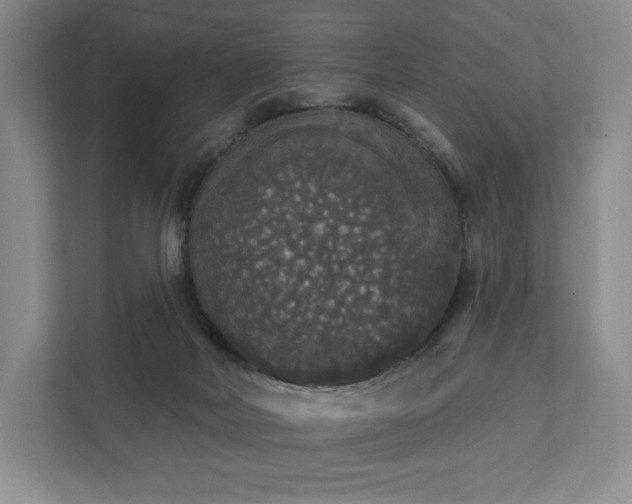 X0000111580026200907231244