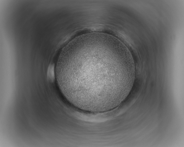 X0000111580028200907231244
