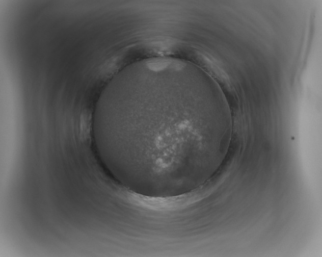 X0000111580030200907231244