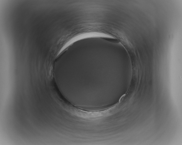 X0000111580031200907231244