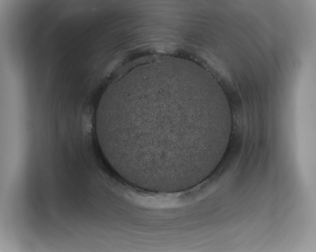 X0000111580032200907231244