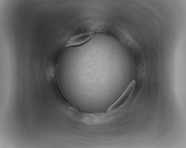 X0000111580033200907231244