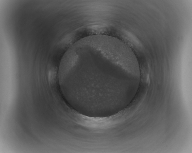 X0000111580034200907231244