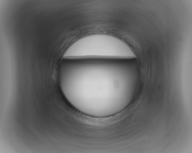 X0000111580035200907231244
