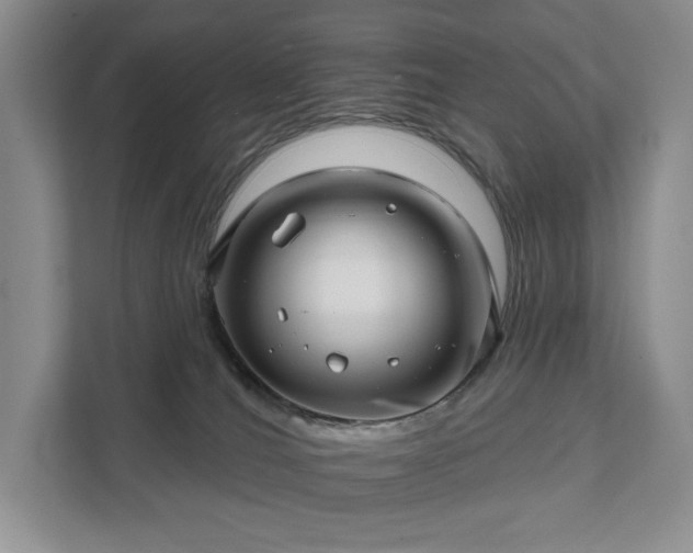 X0000111580036200907231244