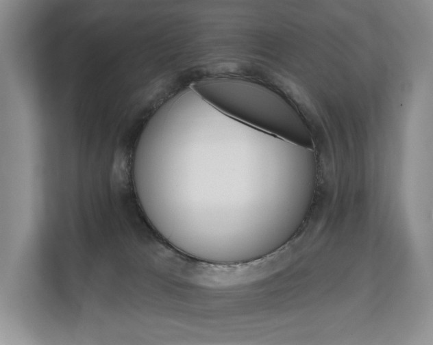 X0000111580037200907231244
