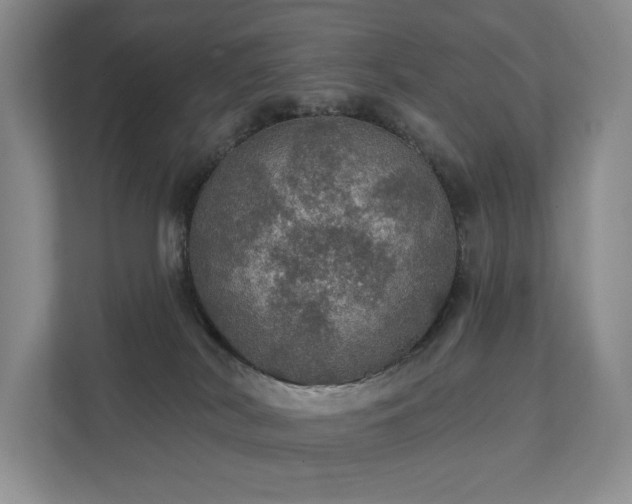 X0000111580038200907231244