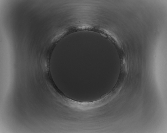 X0000111580039200907231244