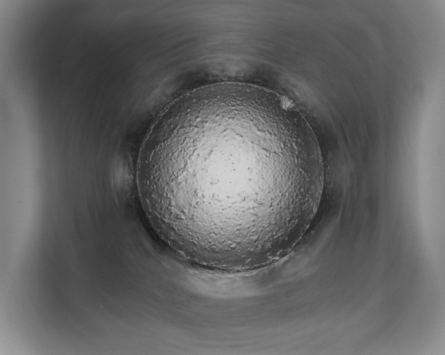 X0000111580040200907231244